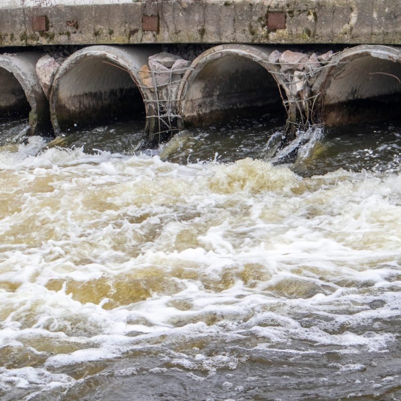 Service Engineers (11)