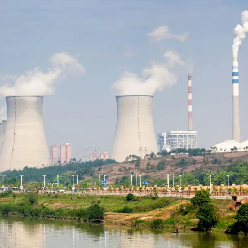 Social-Media-Website-4 (1)